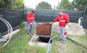 Menderes’te haşere ile mücadele başladı