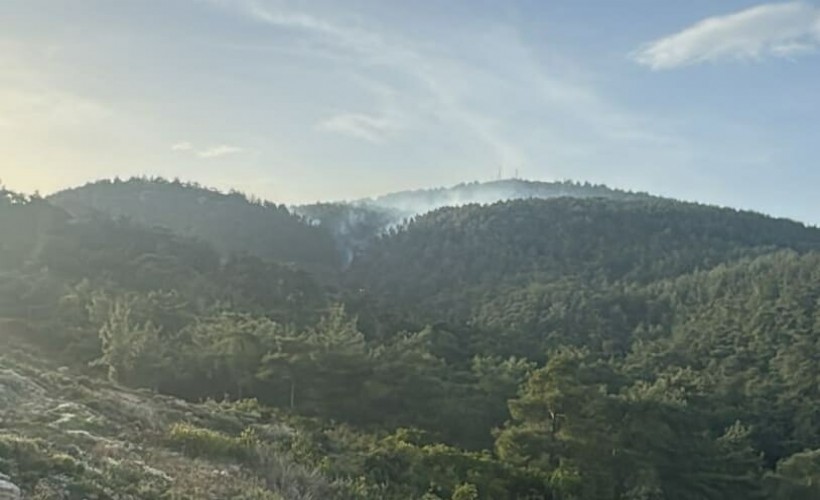 Milas'ta orman yangını; 2 hektar alan zarar gördü