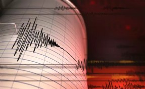 Muğla'da korkutan deprem