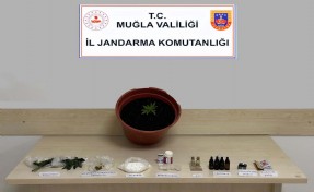 Muğla'da uyuşturucu operasyonunda 1 tutuklama