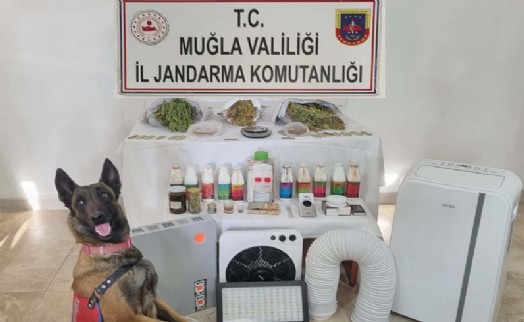 Muğla’da uyuşturucu operasyonu