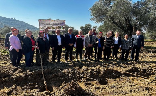 Ödemiş'te ipek böcekçiliği için dut fidanları toprakla buluşturuldu