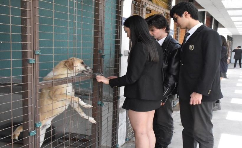 Otellerdeki gıda atıkları can dostlara mama olacak