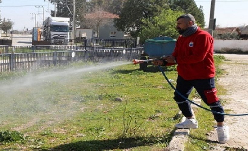 Menderes'te yabancı ot mücadelesinde ilk etap