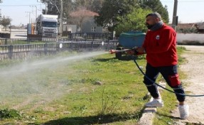 Menderes'te yabancı ot mücadelesinde ilk etap