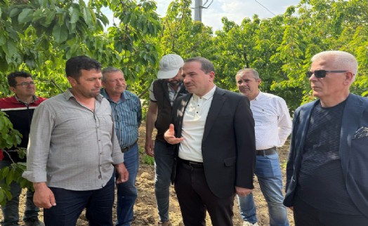 AK Partili Kırkpınar’dan çiftçiye ‘yanınızdayız’ mesajı: 'Hasar oranı karşılanacak'