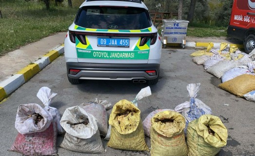 Aydın'da 1 ton 800 kilo salyangozla yakalanan şüpheliye 37 bin TL ceza
