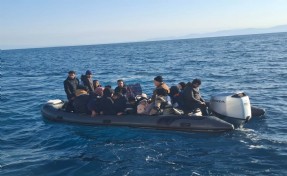 Bodrum'da 26 kaçak göçmen ile 1 göçmen kaçakçısı yakalandı