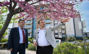 Bornova trafiğine nefes aldıracak hayati düzenlemeler başlıyor