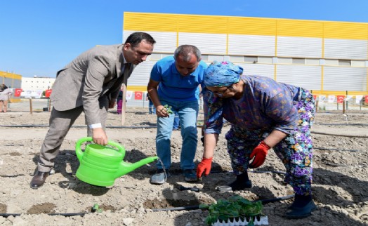 Bornova’da yeşil dönüşüm