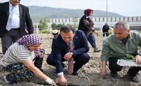 Bornovalı kadınlar Kent Bostanı’nda kendi elleriyle üretiyor