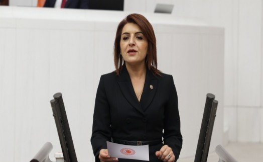 CHP’li Gülcan Kış, limon ihracatına getirilen yasağı eleştirdi