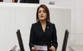 CHP’li Gülcan Kış, limon ihracatına getirilen yasağı eleştirdi