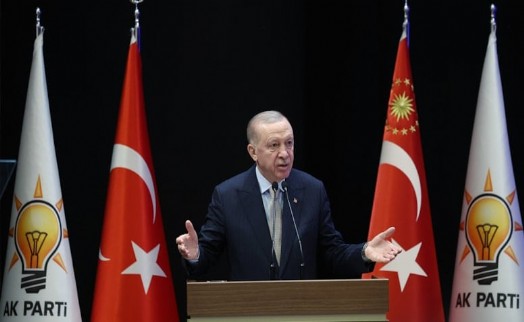 Erdoğan'dan belediyelere 'sokak köpeği' talimatı: Tıpış tıpış uygulayacaklar