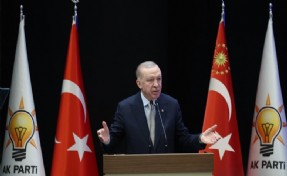 Erdoğan'dan belediyelere 'sokak köpeği' talimatı: Tıpış tıpış uygulayacaklar