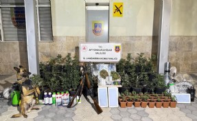 Evinde kenevir üreten 2 şüpheli yakalandı