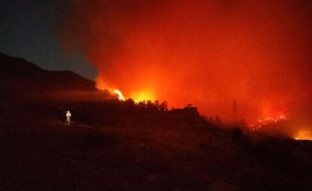 İzmir'de orman yangını davasında tutuklu 4 sanık da tahliye oldu