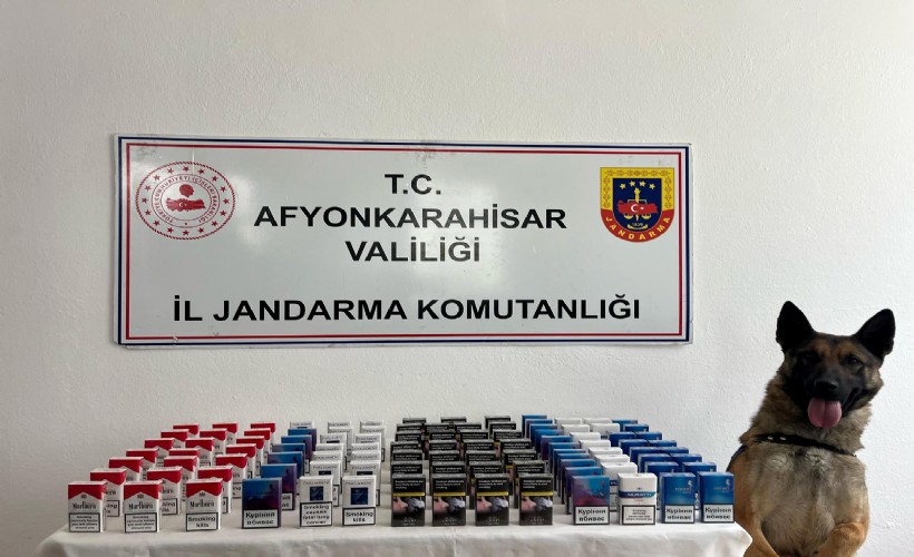 Jandarmadan kaçak tütün ve sigara baskını