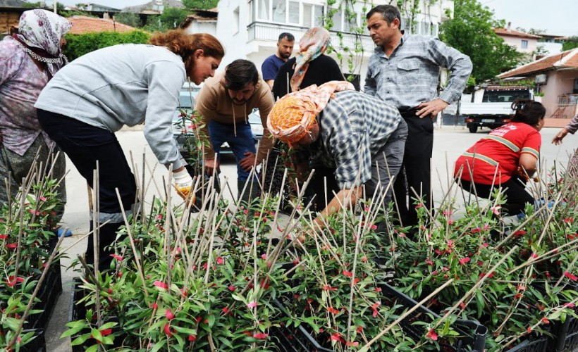 Karşıyaka Belediyesi’nden geleceği şekillendiren dayanışma: Sancaklı'da zeytin fidanı dağıtıldı