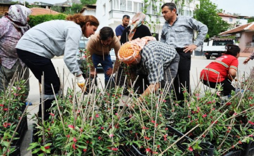 Karşıyaka Belediyesi’nden geleceği şekillendiren dayanışma: Sancaklı'da zeytin fidanı dağıtıldı