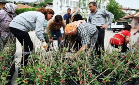 Karşıyaka Belediyesi’nden geleceği şekillendiren dayanışma: Sancaklı'da zeytin fidanı dağıtıldı