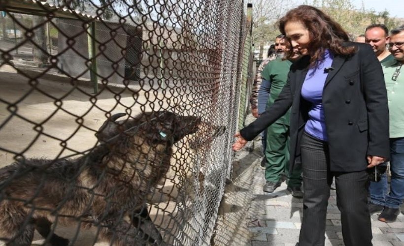 Karşıyaka yeni hayvan yaşam merkezine kavuşuyor