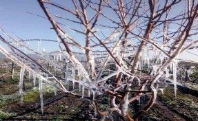 Meteorolojiden Ege için don uyarısı