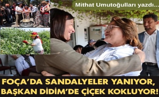 Mithat Umutoğulları yazdı... Foça’da sandalyeler yanıyor, Başkan Didim’de çiçek kokluyor!