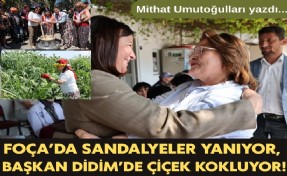 Mithat Umutoğulları yazdı... Foça’da sandalyeler yanıyor, Başkan Didim’de çiçek kokluyor!