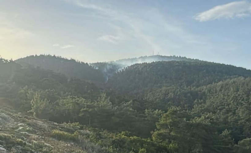 Muğla'da ormanlara giriş 1 Mayıs'tan itibaren yasak