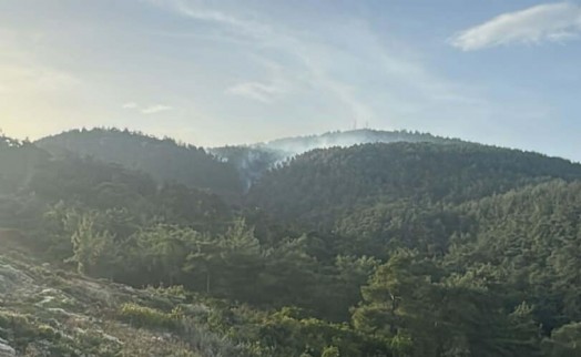 Muğla'da ormanlara giriş 1 Mayıs'tan itibaren yasak