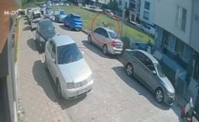 Sokak köpeklerinden kaçmak isterken başını park halindeki otomobile çarptı