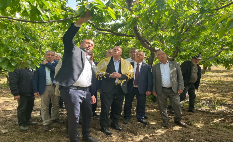 TZOB Başkanı Bayraktar'dan 'zirai don' açıklaması: İzmir'de bütün ürünlerde hasar var!
