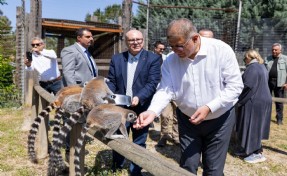 Tugay, Doğal Yaşam Parkı’nda veterinerlerle buluştu:  İzmir’in vicdanını temsil ediyorsunuz