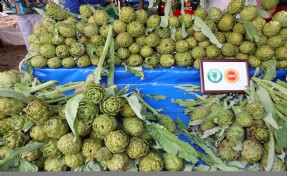 Urla'da Enginar Festivali mutluluğu