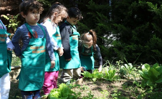 Yağmur suyuyla sebze yetiştiren anaokulu öğrencileri, kendi yemeklerini hazırlıyor