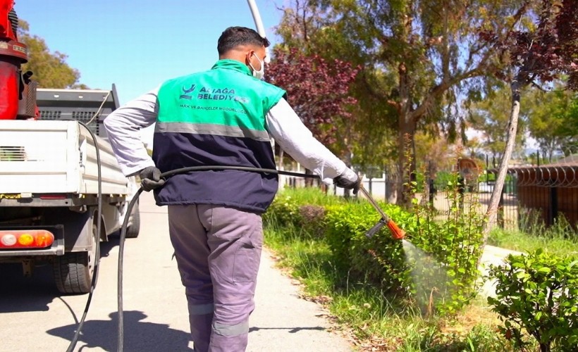 Aliağa'da sivrisineklere geçit yok