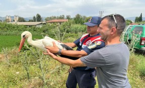 Avcıların vurduğu yaralı leylek, tedavisinin ardından bırakıldı