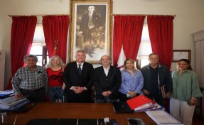 Balıklıova'da üreticinin yüzü 'zeytin'le gülecek