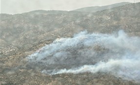 Bayındır'da yangın paniği: Kontrol altına alındı