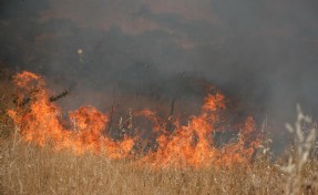 Bodrum’da ot yangını 2 saatte söndürüldü