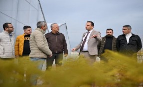 Bornova Belediyesi fidanlığı yeni görünümüyle göz kamaştırıyor
