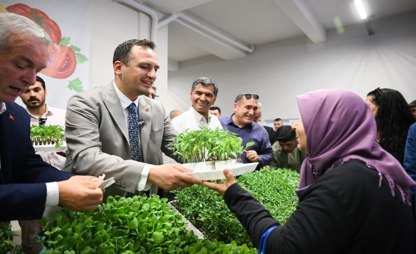 Bornova’dan kırsala yeşil destek: Üreticiye 400 bin yazlık fide