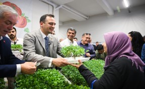 Bornova’dan kırsala yeşil destek: Üreticiye 400 bin yazlık fide