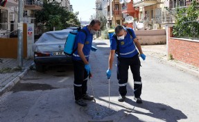Buca'da ilaçlama çalışması: Haşerelere geçit yok