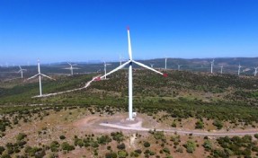 Büyükşehir ile meslek odalarından iş birliği: İzmir’in doğal yaşamını güvenceye alacak