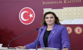 CHP'li Kılıç'tan 'tanıtım ve gösteri yürüyüşleri yasası'na köklü değişiklik teklifi: Sokakta özgürlük talebi