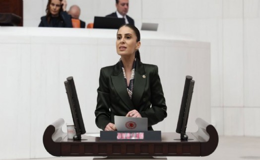 CHP’li Özcan: Hayvanların yaşam hakkını gasp eden yasa, belediyelere de baskı aracına dönüştü