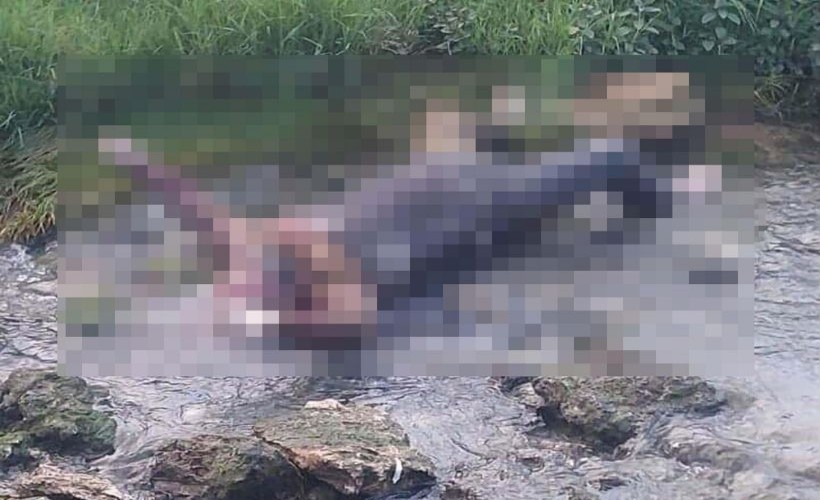 Cezaevinden izinli çıktı, dere yatağında ölü bulundu