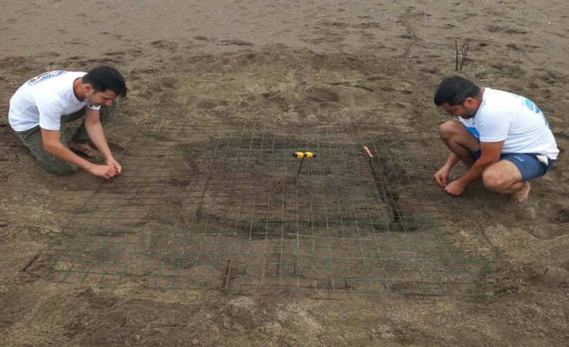 Dalyan'da sezonun ilk caretta caretta yuvası belirlendi